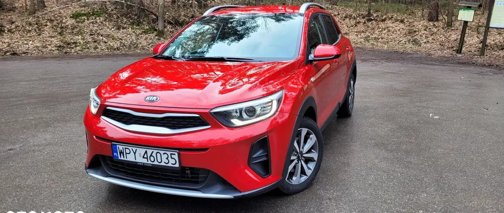 lipno Kia Stonic cena 77900 przebieg: 5460, rok produkcji 2020 z Lipno